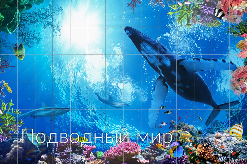 Подводный мир